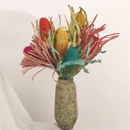 Everlasting Preserved Banksia Serrata Flowers